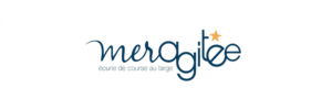 logo mer agitée