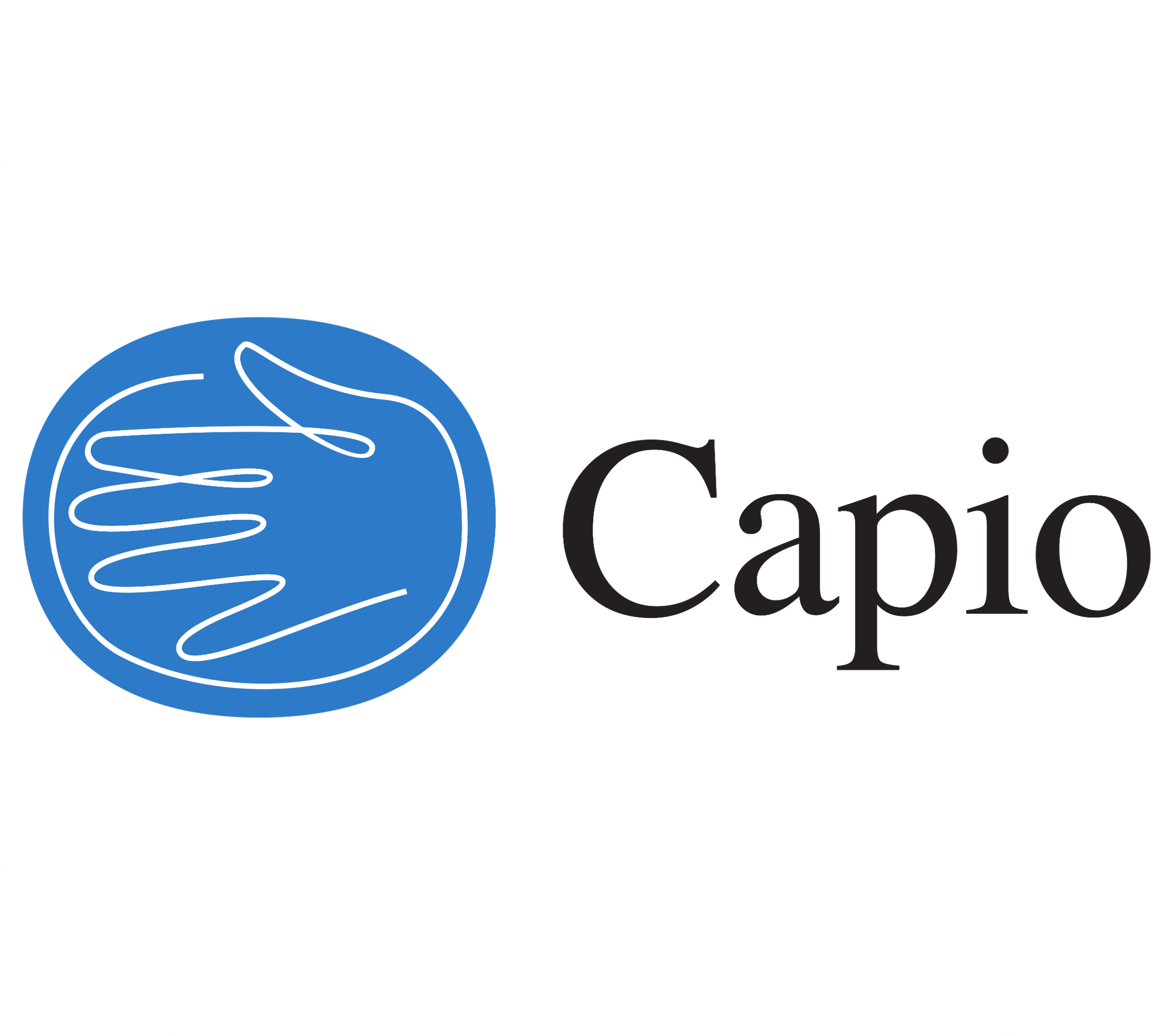 LOGO CAPIO
