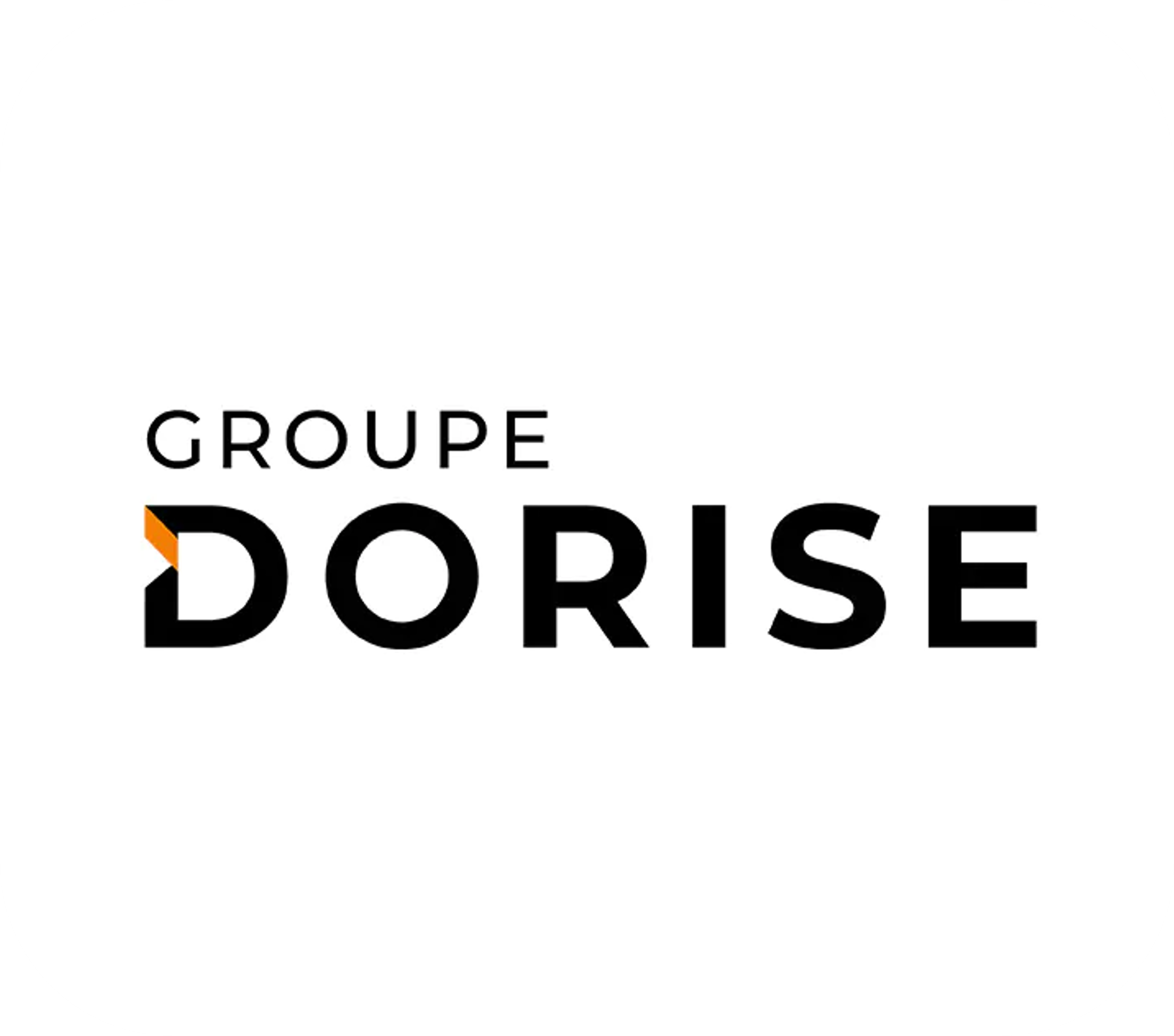 LOGO DORISE