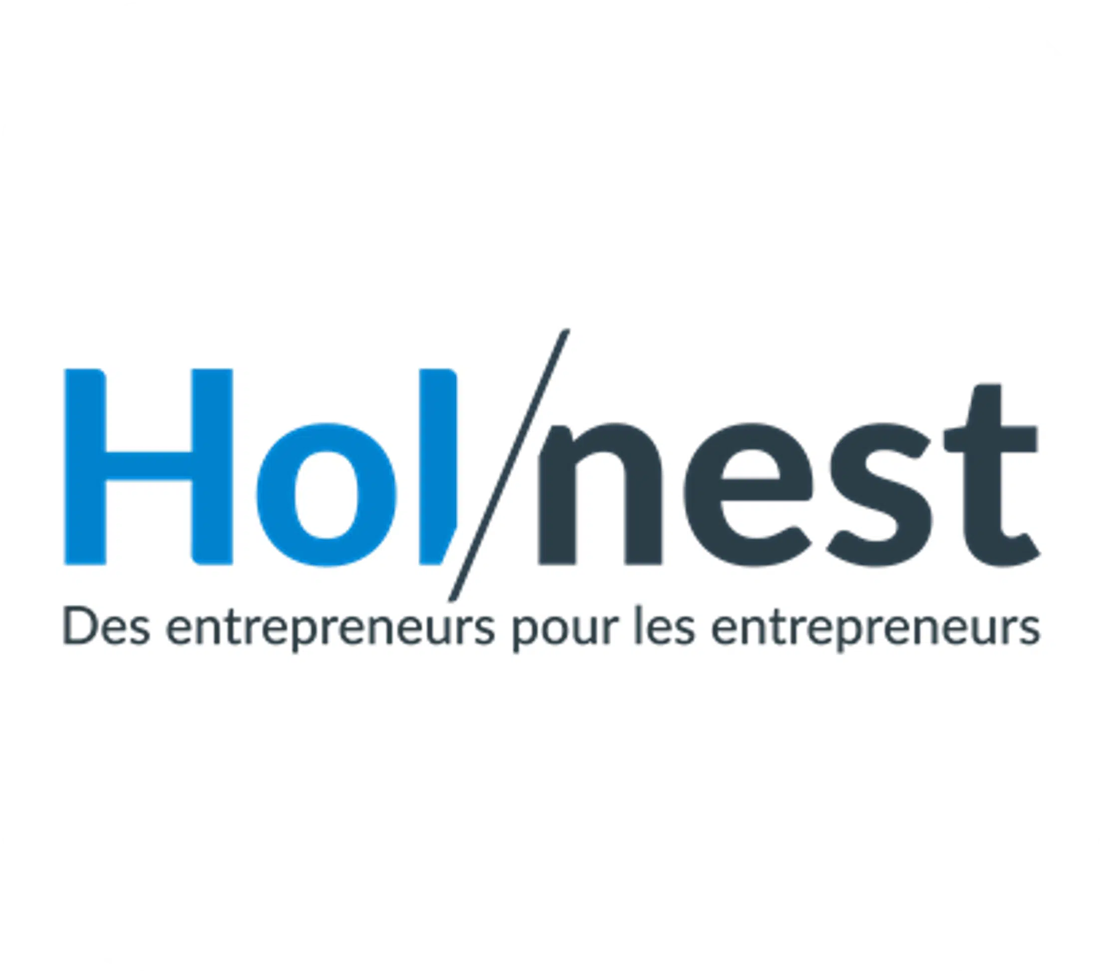 logo holnest