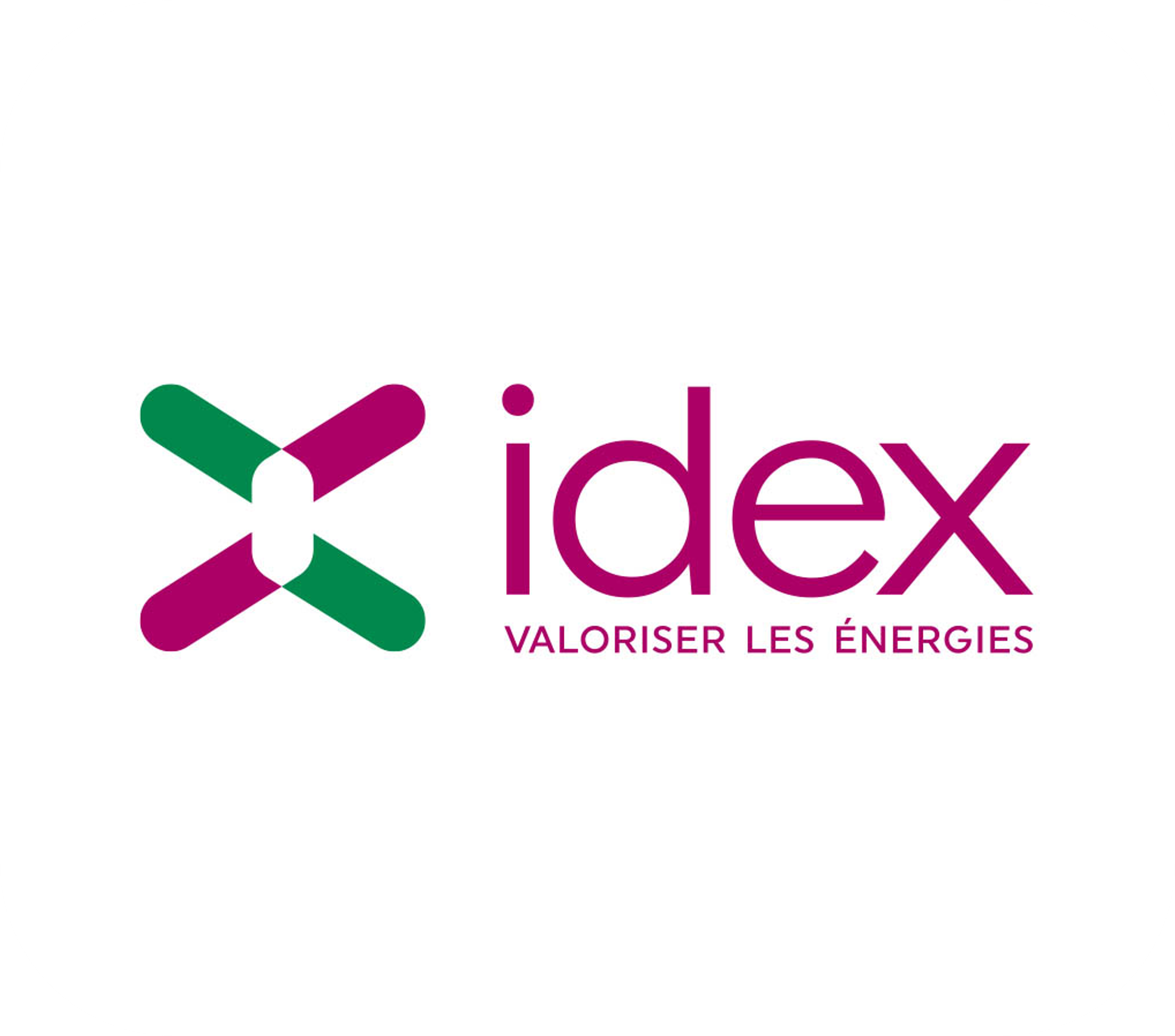 LOGO IDEX