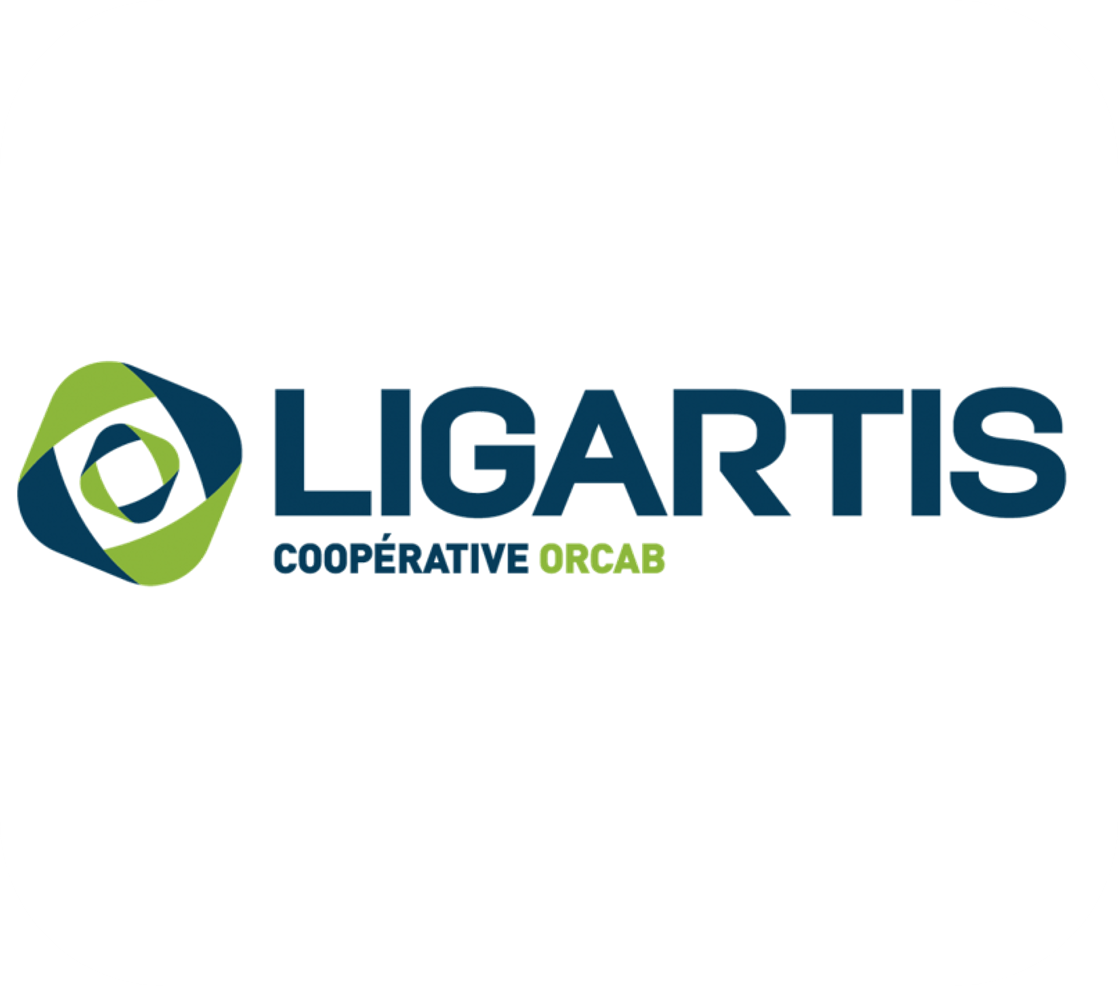 LOGO LIGARTIS