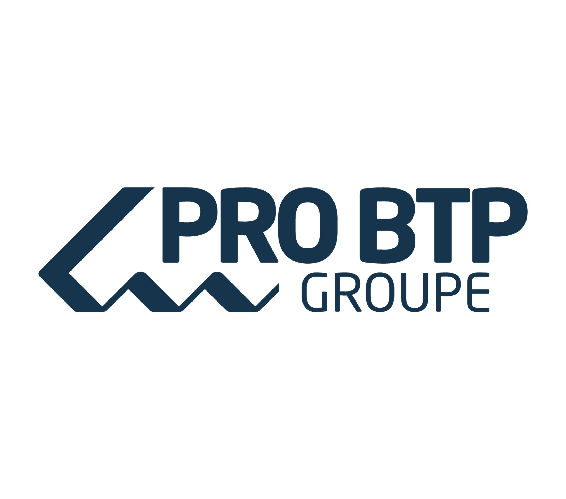 LOGO PRO BTP