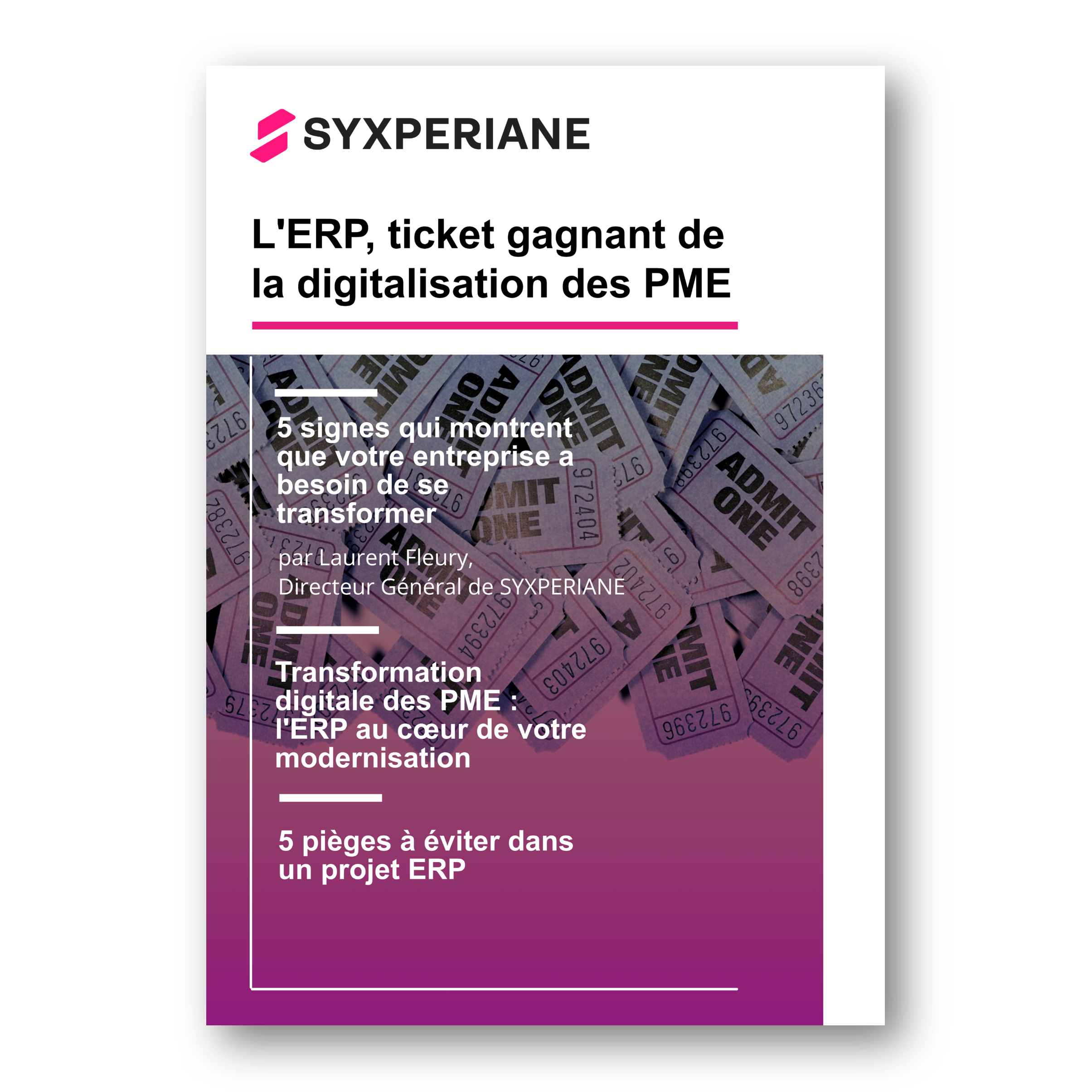 vignette livre blanc PME : ERP ticket gagnant de la digitalisation